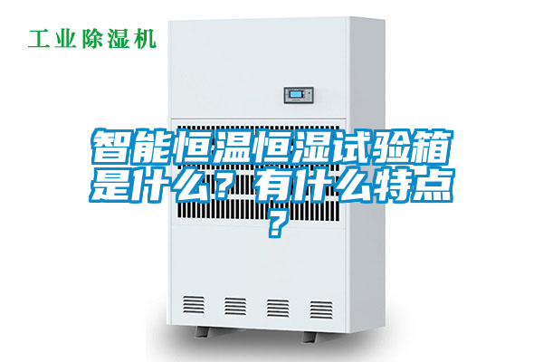 智能恒溫恒濕試驗箱是什么？有什么特點？