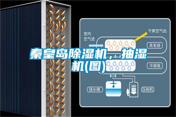 秦皇島除濕機(jī)，抽濕機(jī)(圖)