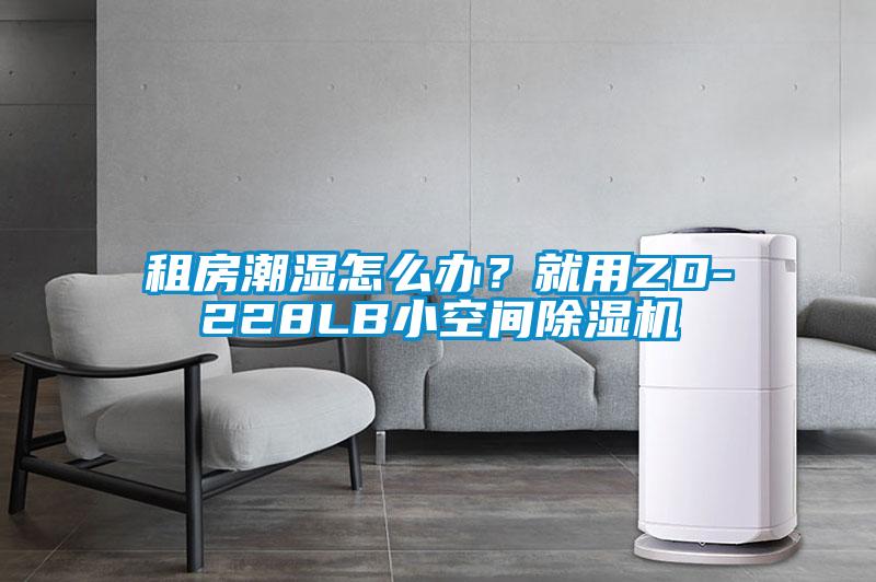 租房潮濕怎么辦？就用ZD-228LB小空間除濕機(jī)