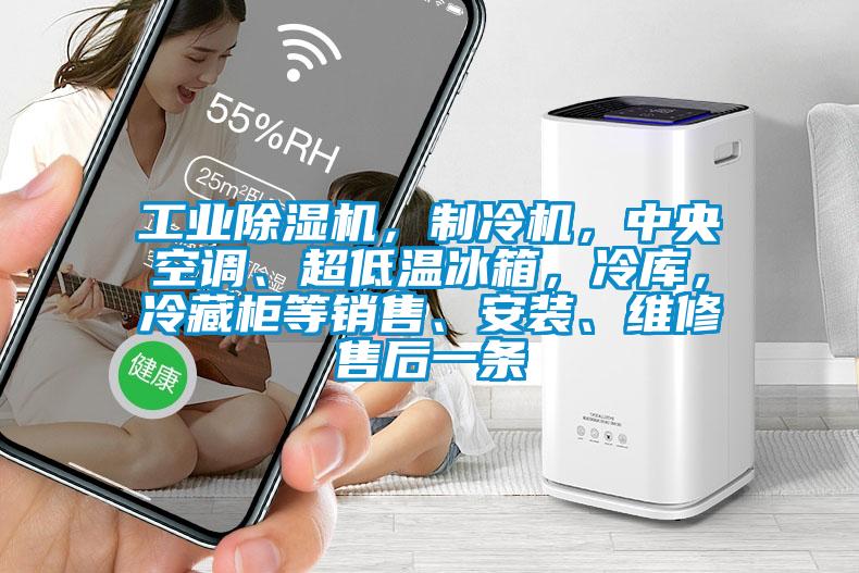 工業(yè)除濕機(jī)，制冷機(jī)，中央空調(diào)、超低溫冰箱，冷庫，冷藏柜等銷售、安裝、維修售后一條