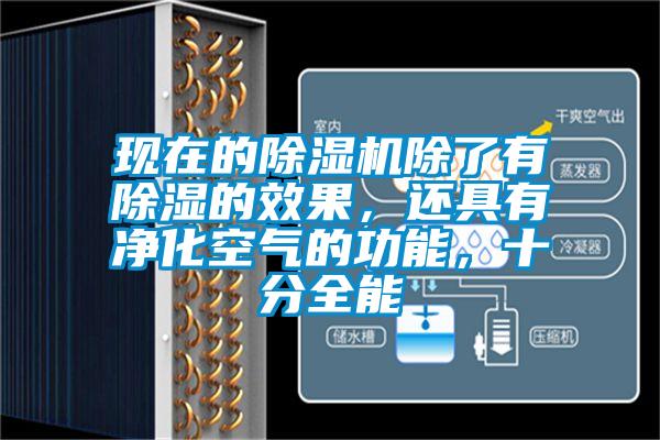 現(xiàn)在的除濕機除了有除濕的效果，還具有凈化空氣的功能，十分全能