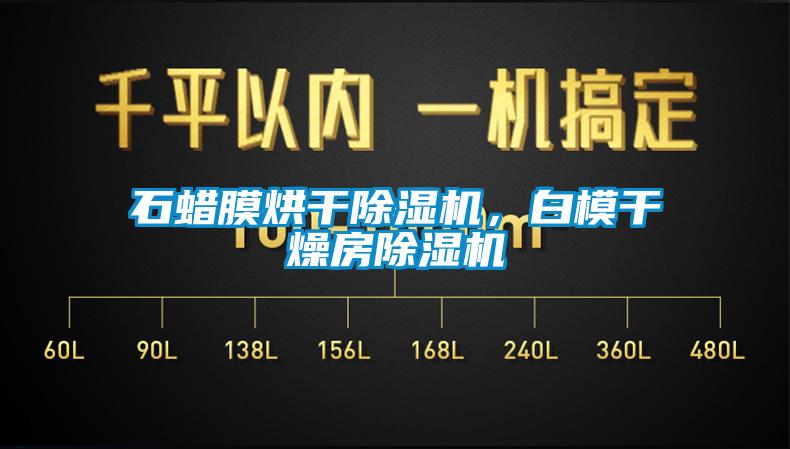 石蠟?zāi)ず娓沙凉駲C(jī)，白模干燥房除濕機(jī)
