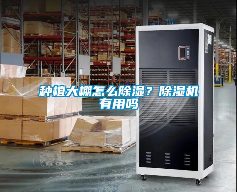 種植大棚怎么除濕？除濕機(jī)有用嗎