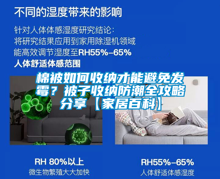 棉被如何收納才能避免發(fā)霉？被子收納防潮全攻略分享【家居百科】