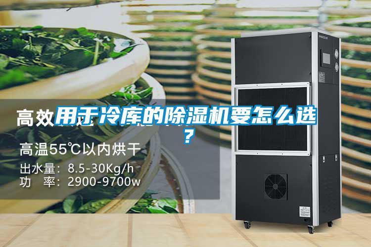 用于冷庫的除濕機要怎么選？