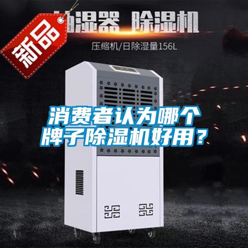 消費(fèi)者認(rèn)為哪個(gè)牌子除濕機(jī)好用？