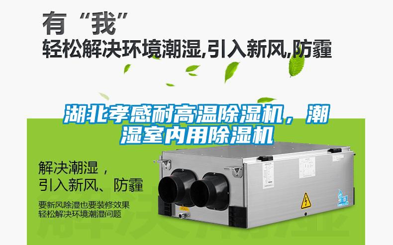 湖北孝感耐高溫除濕機，潮濕室內(nèi)用除濕機