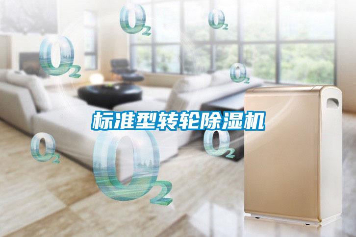 標準型轉(zhuǎn)輪除濕機