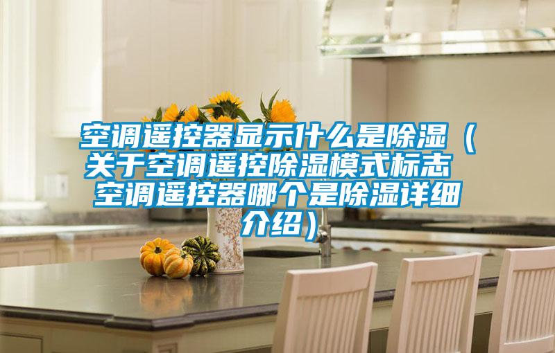 空調(diào)遙控器顯示什么是除濕（關(guān)于空調(diào)遙控除濕模式標(biāo)志 空調(diào)遙控器哪個(gè)是除濕詳細(xì)介紹）