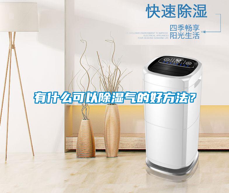 有什么可以除濕氣的好方法？