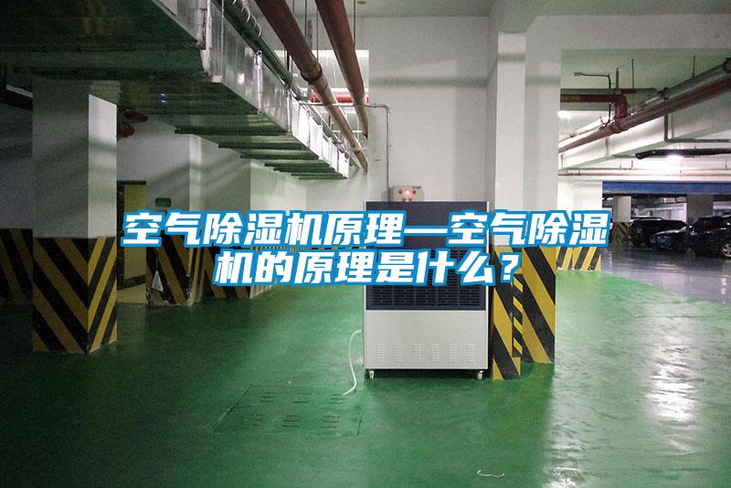 空氣除濕機(jī)原理—空氣除濕機(jī)的原理是什么？