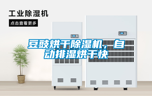 豆豉烘干除濕機，自動排濕烘干快