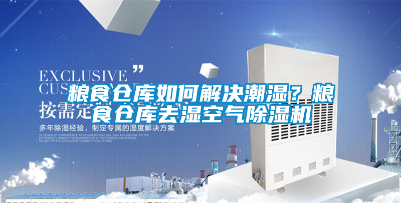 糧食倉庫如何解決潮濕？糧食倉庫去濕空氣除濕機