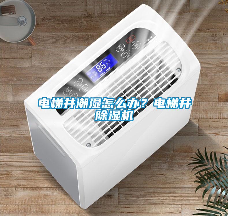 電梯井潮濕怎么辦？電梯井除濕機(jī)