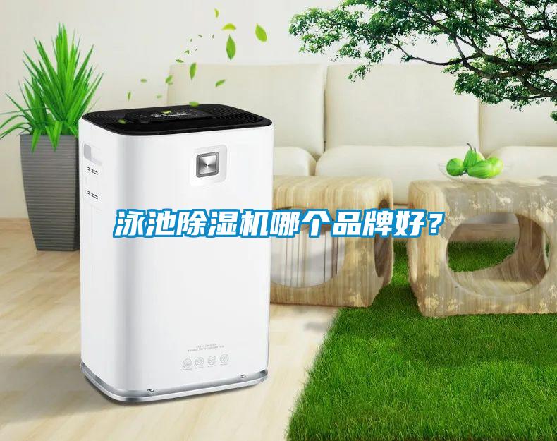 泳池除濕機(jī)哪個品牌好？