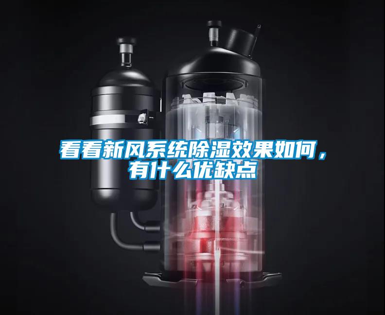 看看新風(fēng)系統(tǒng)除濕效果如何，有什么優(yōu)缺點(diǎn)