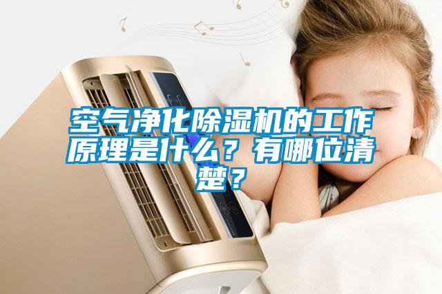 空氣凈化除濕機的工作原理是什么？有哪位清楚？