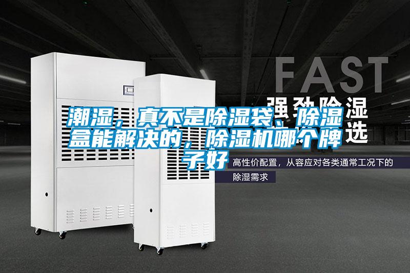 潮濕，真不是除濕袋、除濕盒能解決的，除濕機(jī)哪個牌子好