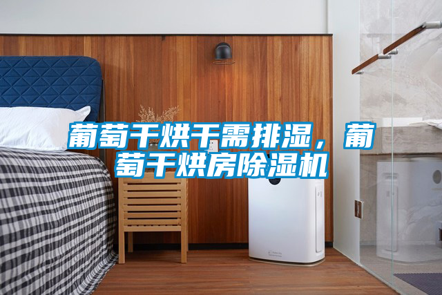 葡萄干烘干需排濕，葡萄干烘房除濕機