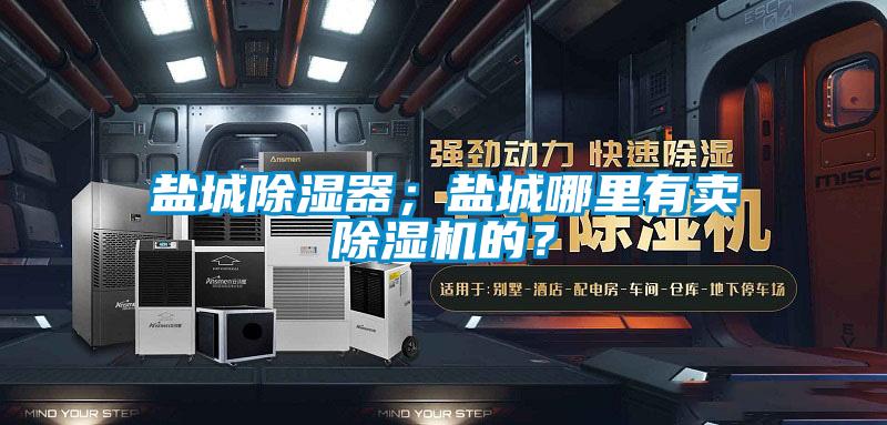 鹽城除濕器；鹽城哪里有賣除濕機(jī)的？