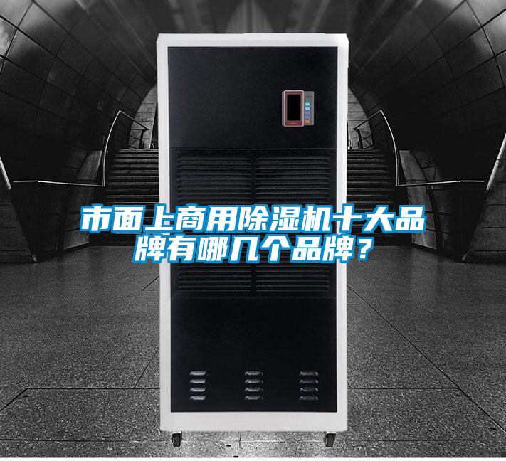 市面上商用除濕機(jī)十大品牌有哪幾個品牌？