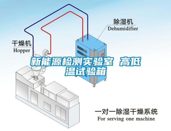 新能源檢測實(shí)驗(yàn)室 高低溫試驗(yàn)箱