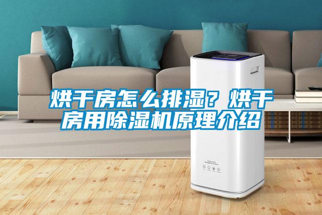 烘干房怎么排濕？烘干房用除濕機原理介紹