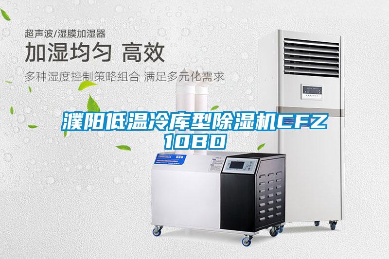 濮陽低溫冷庫型除濕機(jī)CFZ10BD