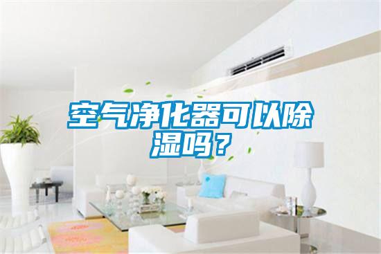 空氣凈化器可以除濕嗎？