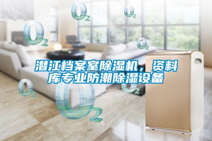 潛江檔案室除濕機(jī)，資料庫專業(yè)防潮除濕設(shè)備