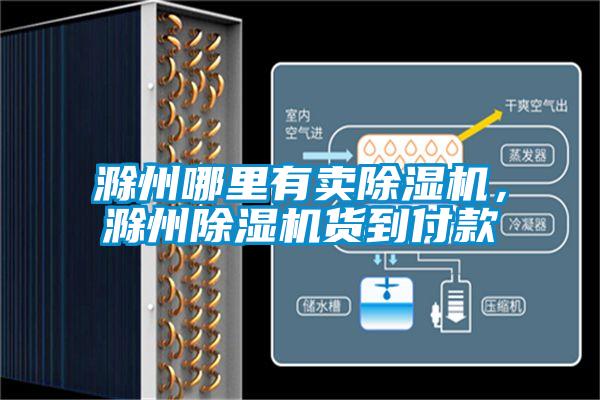 滁州哪里有賣除濕機，滁州除濕機貨到付款