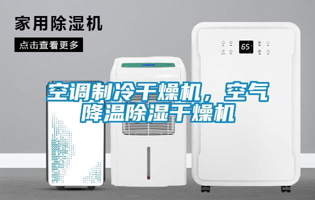 空調(diào)制冷干燥機，空氣降溫除濕干燥機