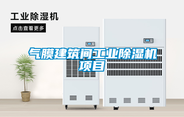 氣膜建筑間工業(yè)除濕機(jī)項目