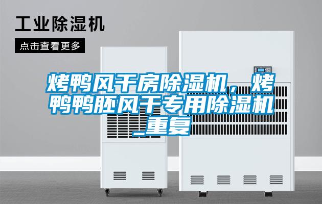 烤鴨風干房除濕機，烤鴨鴨胚風干專用除濕機_重復(fù)