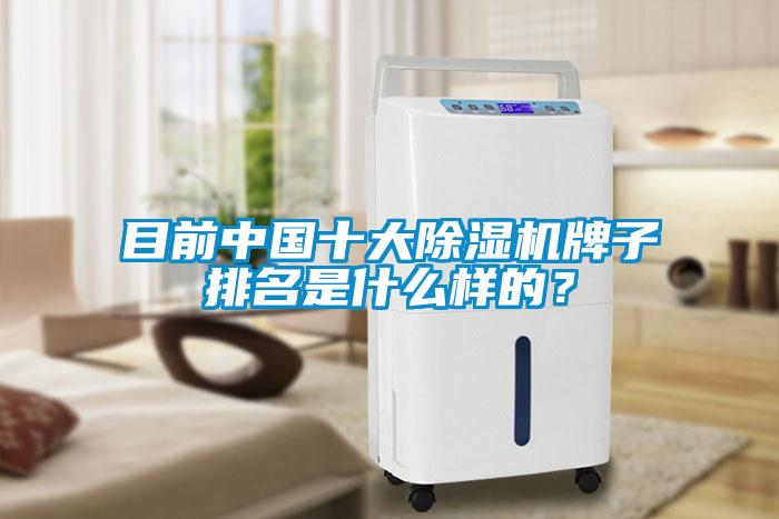 目前中國十大除濕機(jī)牌子排名是什么樣的？