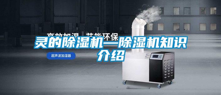 靈的除濕機(jī)—除濕機(jī)知識介紹