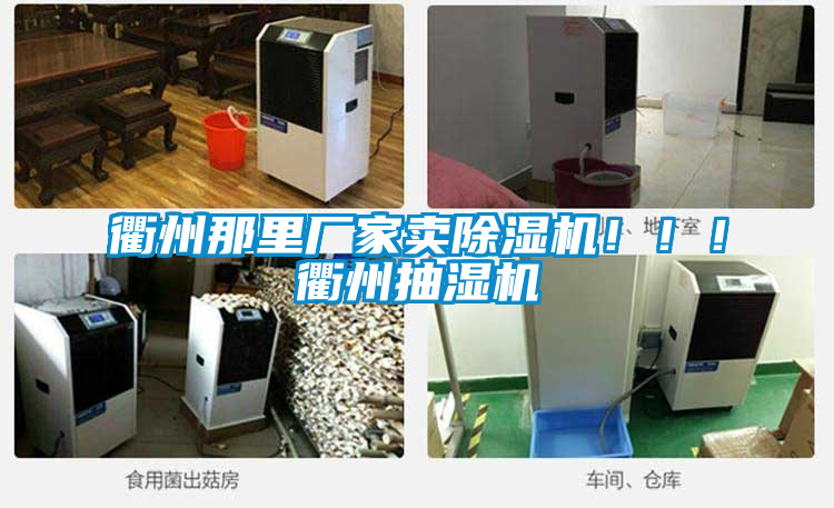 衢州那里廠家賣除濕機?。。♂橹莩闈駲C