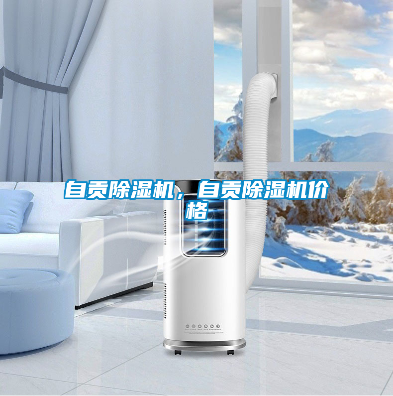 自貢除濕機，自貢除濕機價格