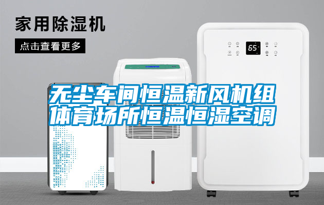 無(wú)塵車間恒溫新風(fēng)機(jī)組體育場(chǎng)所恒溫恒濕空調(diào)