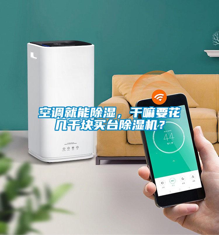 空調(diào)就能除濕，干嘛要花幾千塊買臺(tái)除濕機(jī)？