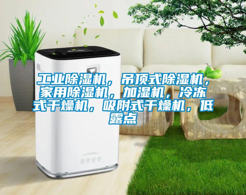 工業(yè)除濕機(jī)，吊頂式除濕機(jī)，家用除濕機(jī)，加濕機(jī)，冷凍式干燥機(jī)，吸附式干燥機(jī)，低露點