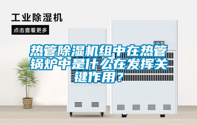 熱管除濕機(jī)組中在熱管鍋爐中是什么在發(fā)揮關(guān)鍵作用？