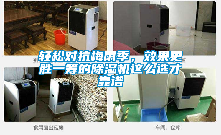 輕松對抗梅雨季，效果更勝一籌的除濕機(jī)這么選才靠譜