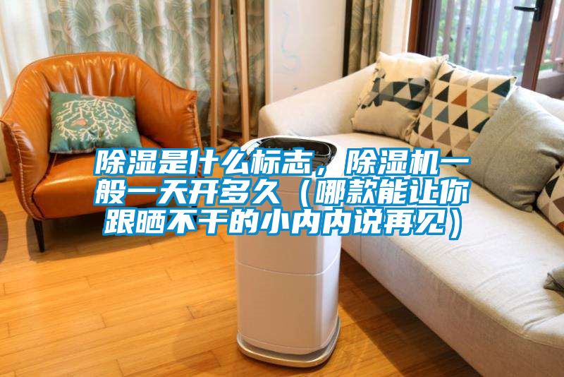 除濕是什么標(biāo)志，除濕機一般一天開多久（哪款能讓你跟曬不干的小內(nèi)內(nèi)說再見）