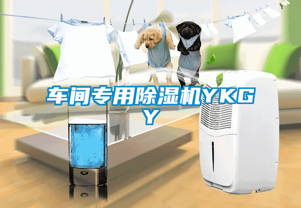 車間專用除濕機(jī)YKGY