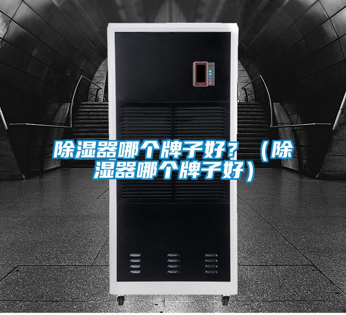 除濕器哪個牌子好？（除濕器哪個牌子好）
