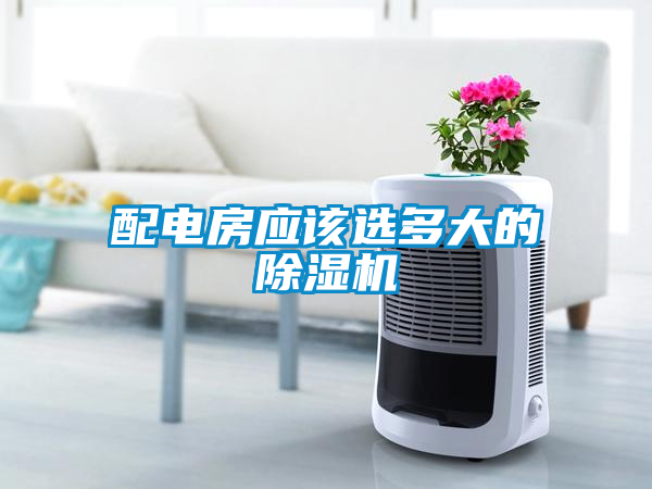 配電房應(yīng)該選多大的除濕機