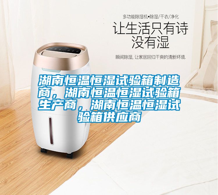 湖南恒溫恒濕試驗箱制造商，湖南恒溫恒濕試驗箱生產(chǎn)商，湖南恒溫恒濕試驗箱供應商