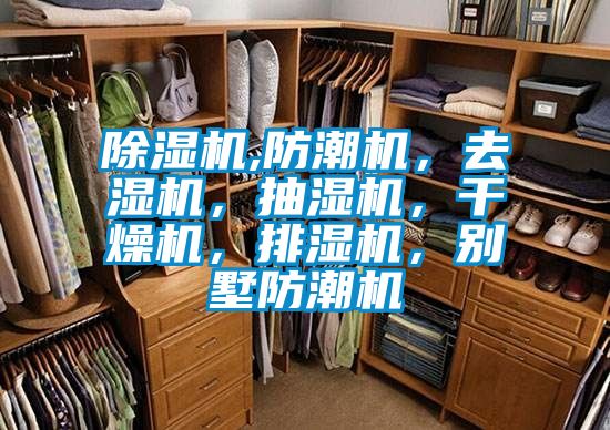除濕機(jī),防潮機(jī)，去濕機(jī)，抽濕機(jī)，干燥機(jī)，排濕機(jī)，別墅防潮機(jī)
