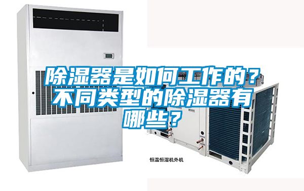 除濕器是如何工作的？不同類型的除濕器有哪些？